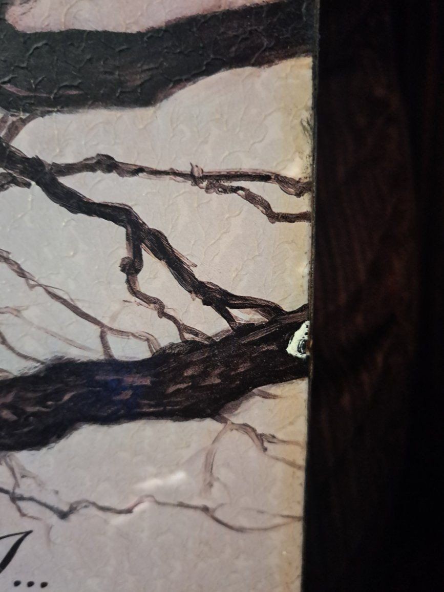 Main image 3