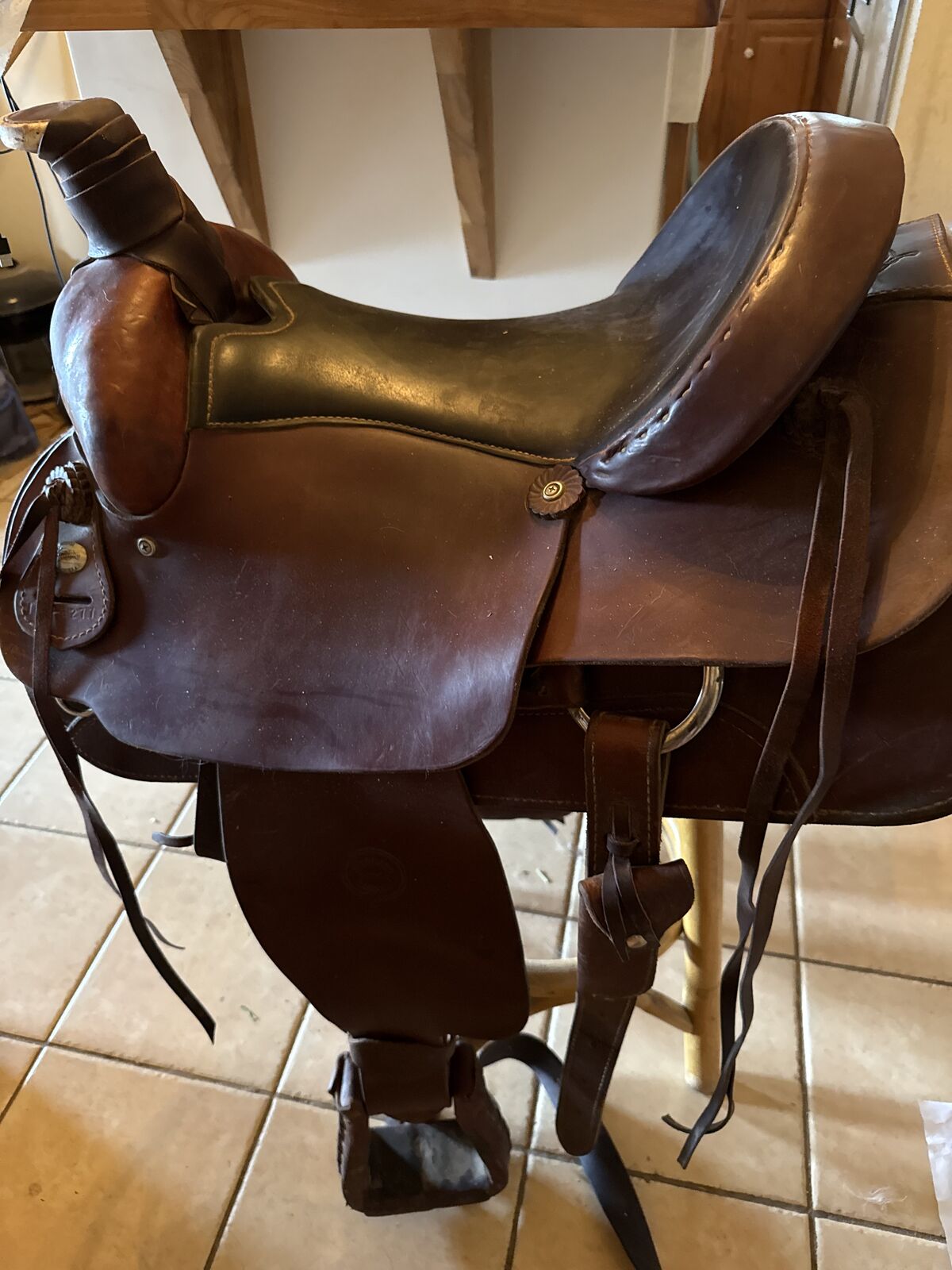 Andalusian mare, horse trailer and saddles