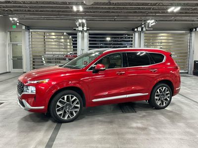 2021 Hyundai Santa Fe Calligraphy