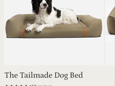 Tailmade Dog Bed - Dune L (Large) - Award-Winning Orthopedic Pet Bed for Health & Comfort