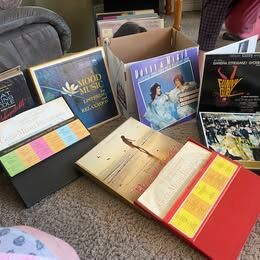 VINYL - ALBUM SETS - VINYL - VINYL and more VINYL (Batch # 2)