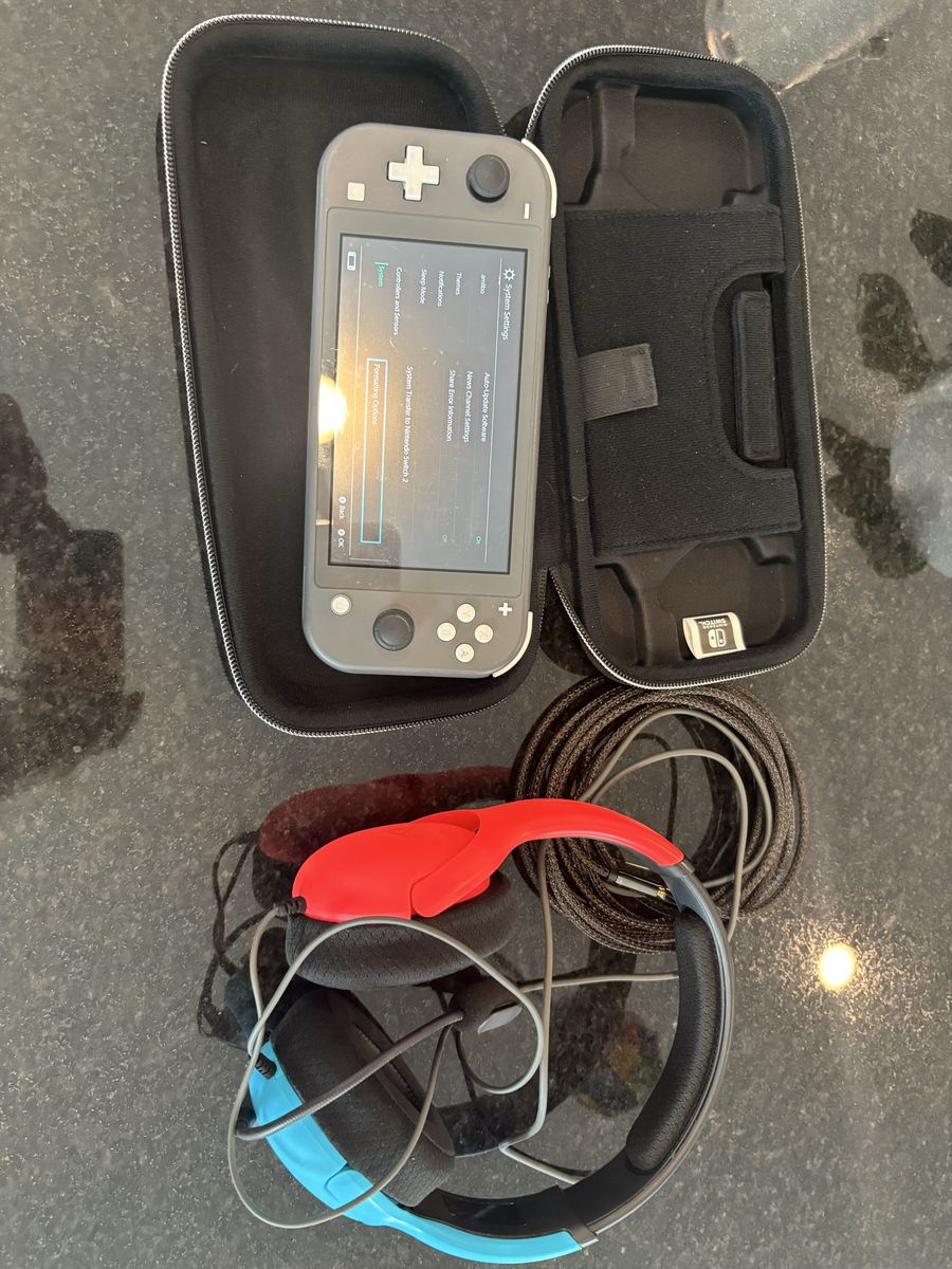Nintendo Switch Lite Gray Handheld Console with Case and Headphones