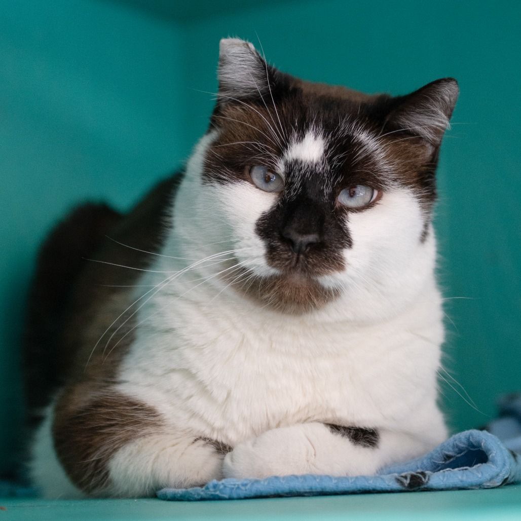 Hello my name is Rockefeller