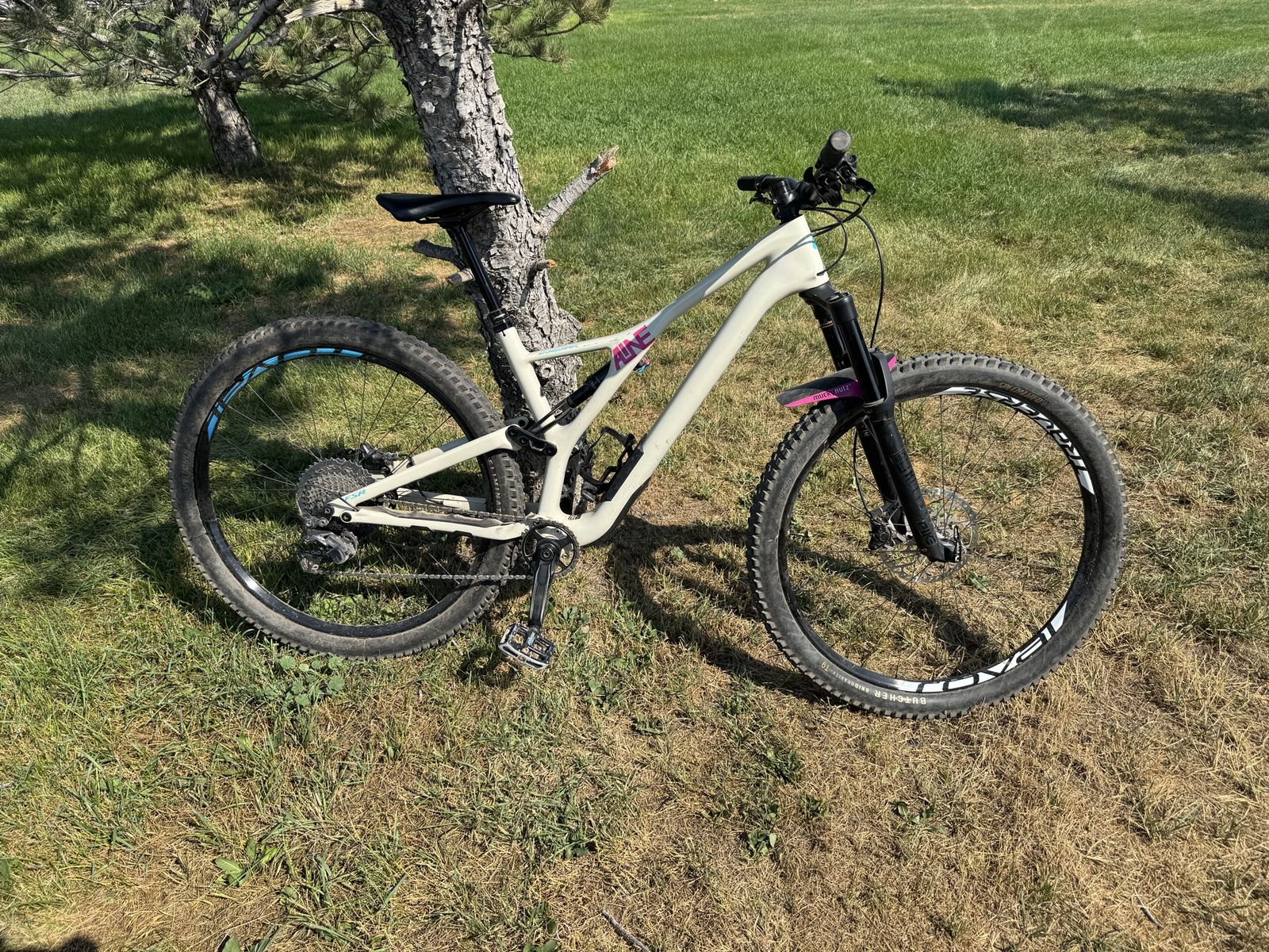 Specialized Stumpjumper L 2019