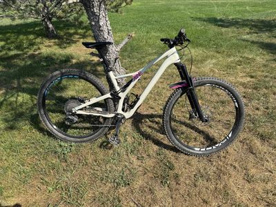 Specialized Stumpjumper L 2019