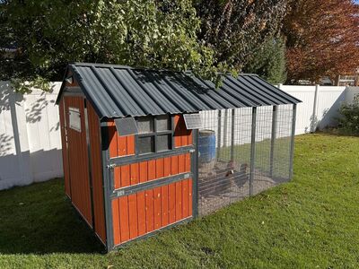 Chicken Coop - Everything Needed, 6x Chickens