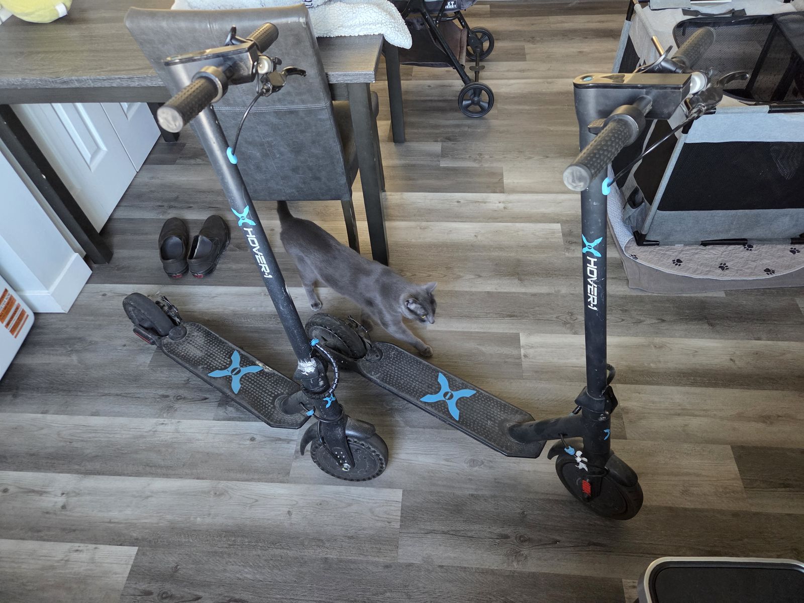 2 hover1 scooters with charger 200 for both