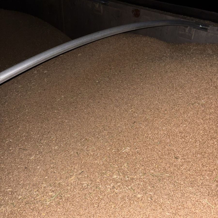 Bulk Hard Red Wheat
