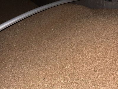 Bulk Hard Red Wheat