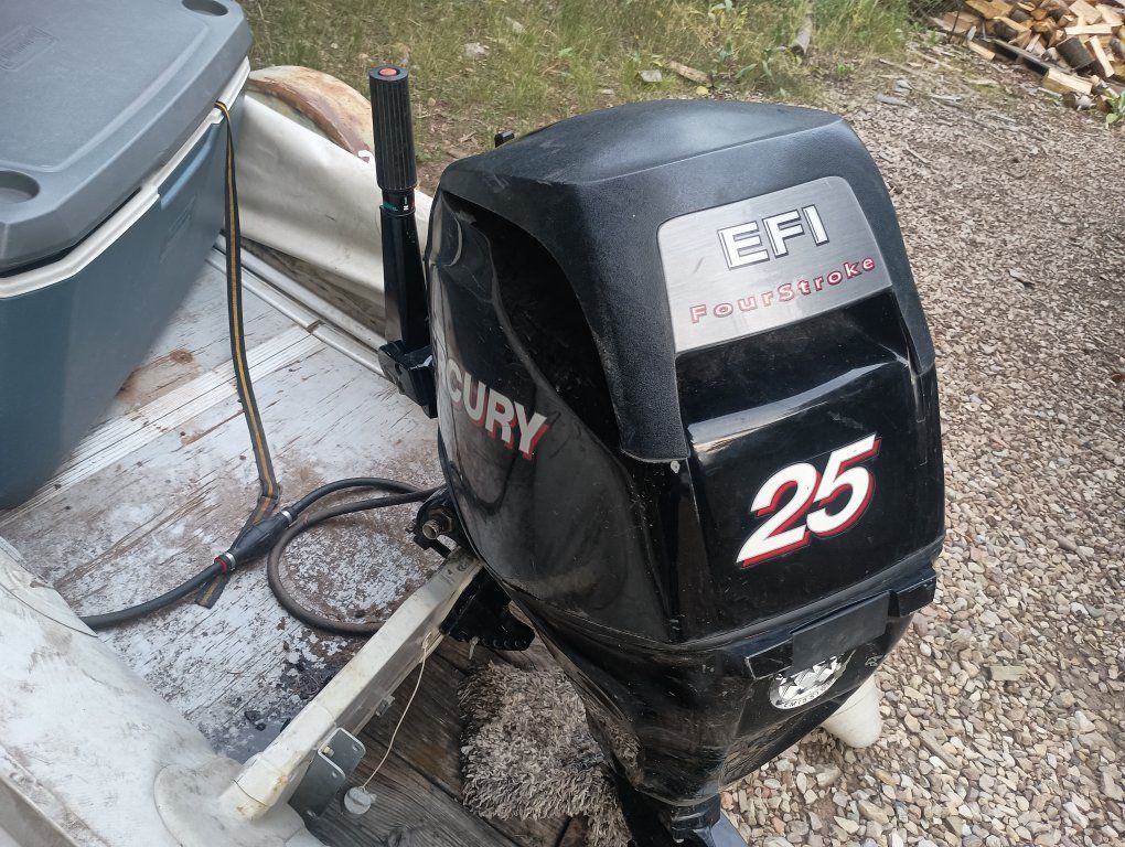 2007 Mercury 25 HP outboard 
