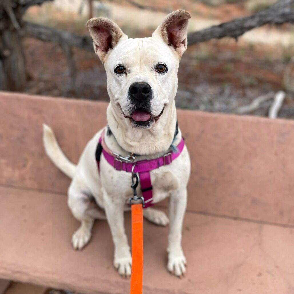 Hello my name is Patti Mayonnaise