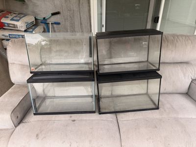 10 gallons fish tank