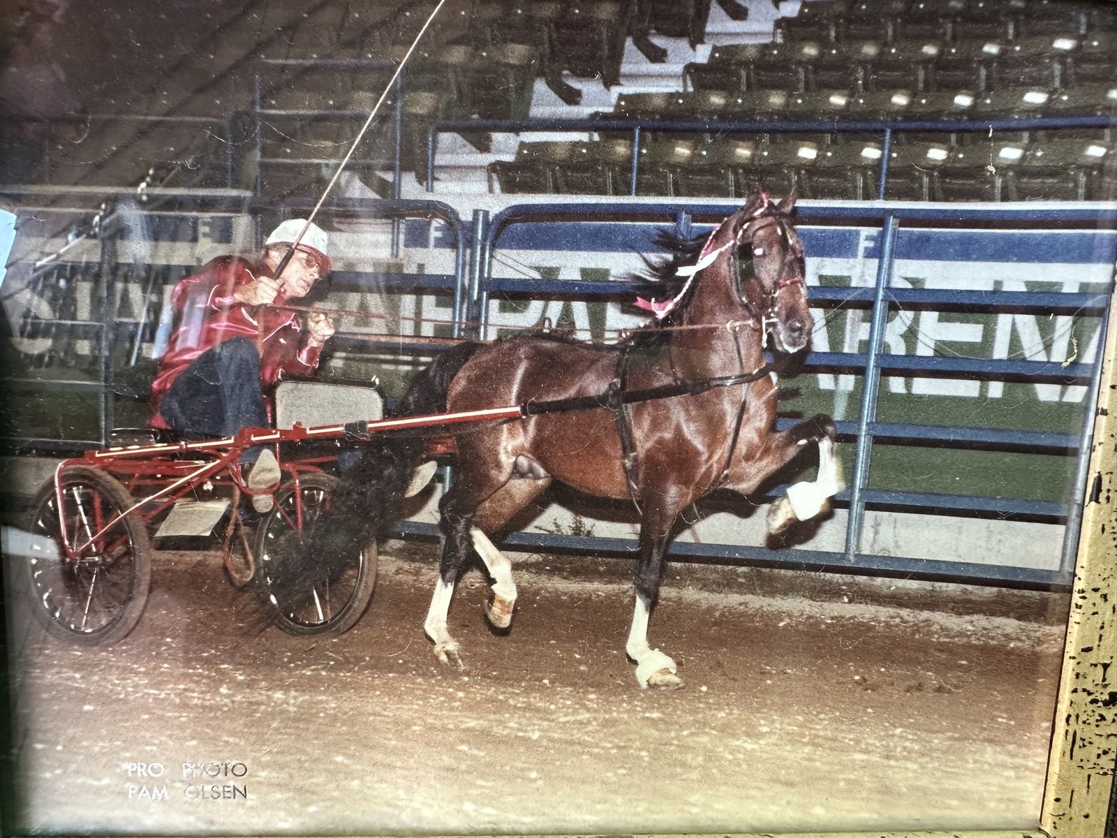 Single horse carts
