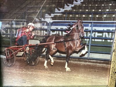 Single horse carts
