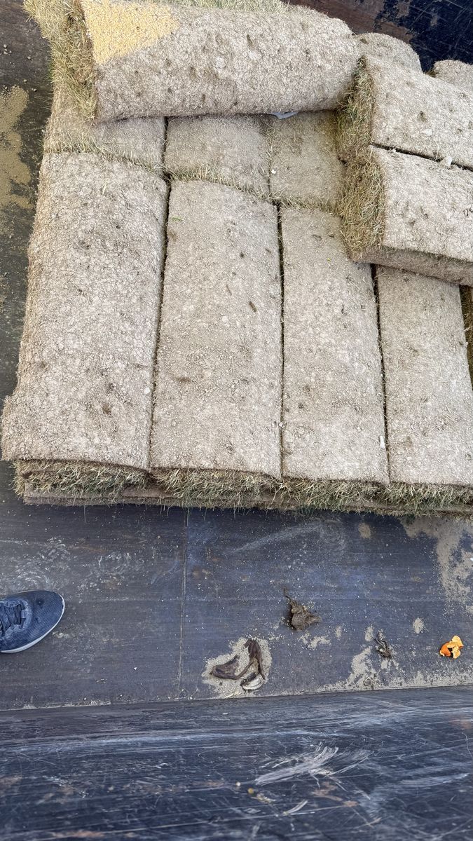 Kentucky Blue Grass 22 Rolls OF Sod