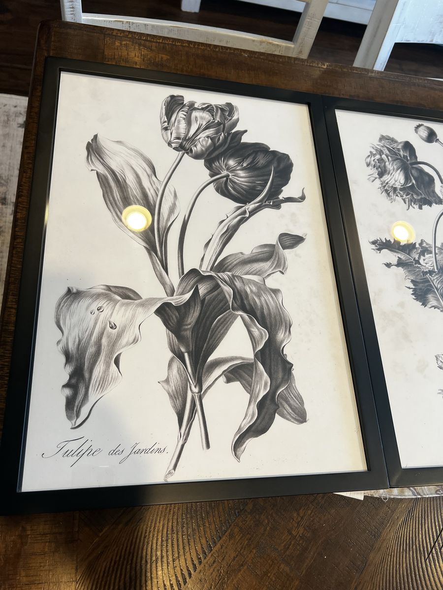 Framed Botanical Prints (Set of 2) - "Tulipe des Jardins" & "Pavot cultivé" Black and White Art
