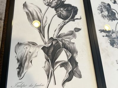 Framed Botanical Prints (Set of 2) - "Tulipe des Jardins" & "Pavot cultivé" Black and White Art