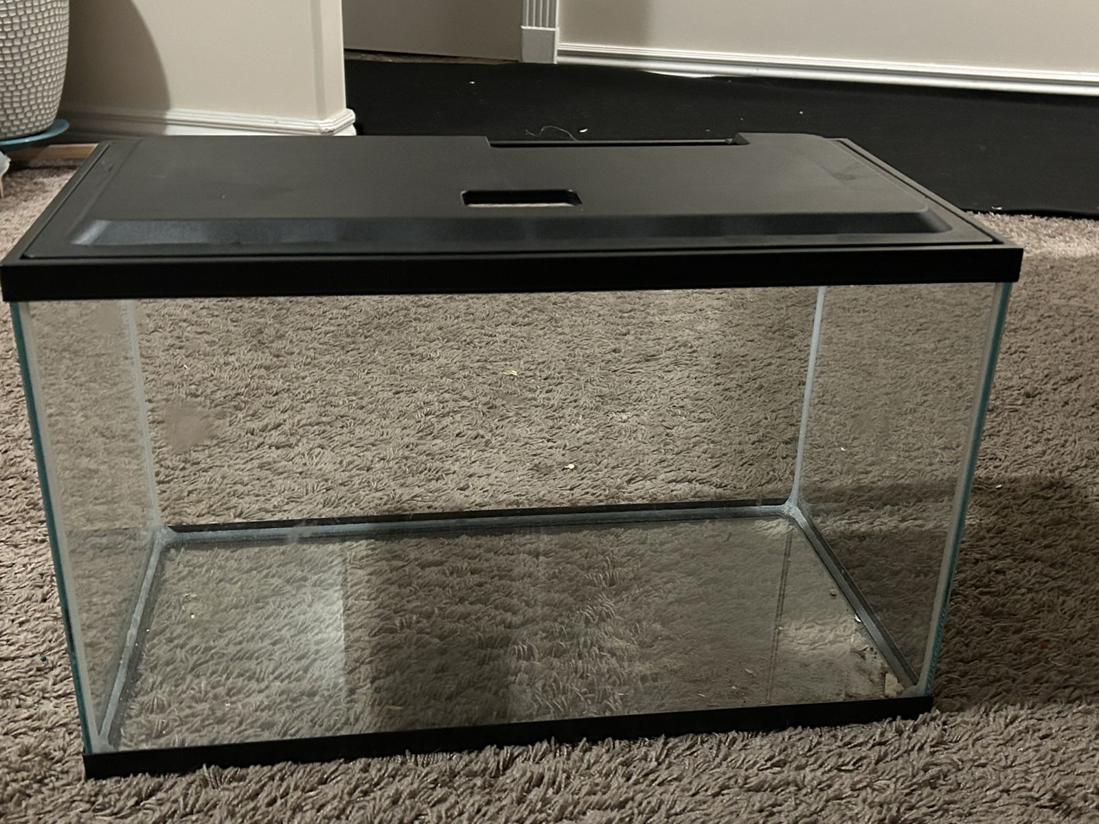 fish tank