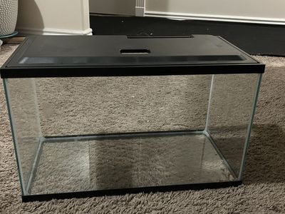 fish tank