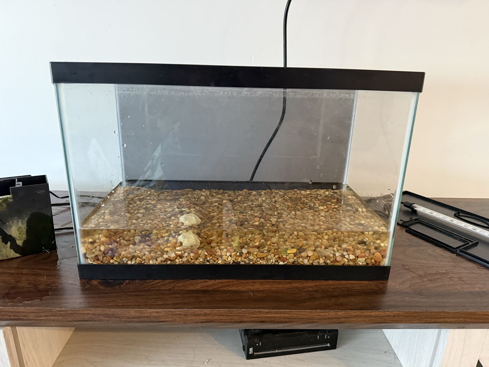 5.5 gallon aquarium