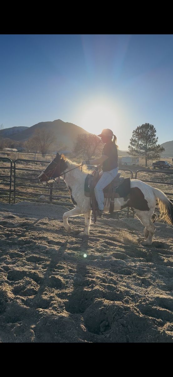 Paint Filly for Sale – “Magic Penny Splash”