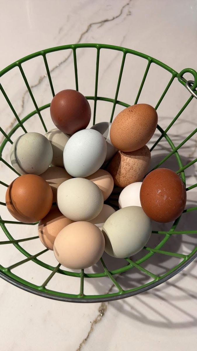 Fresh Eggs