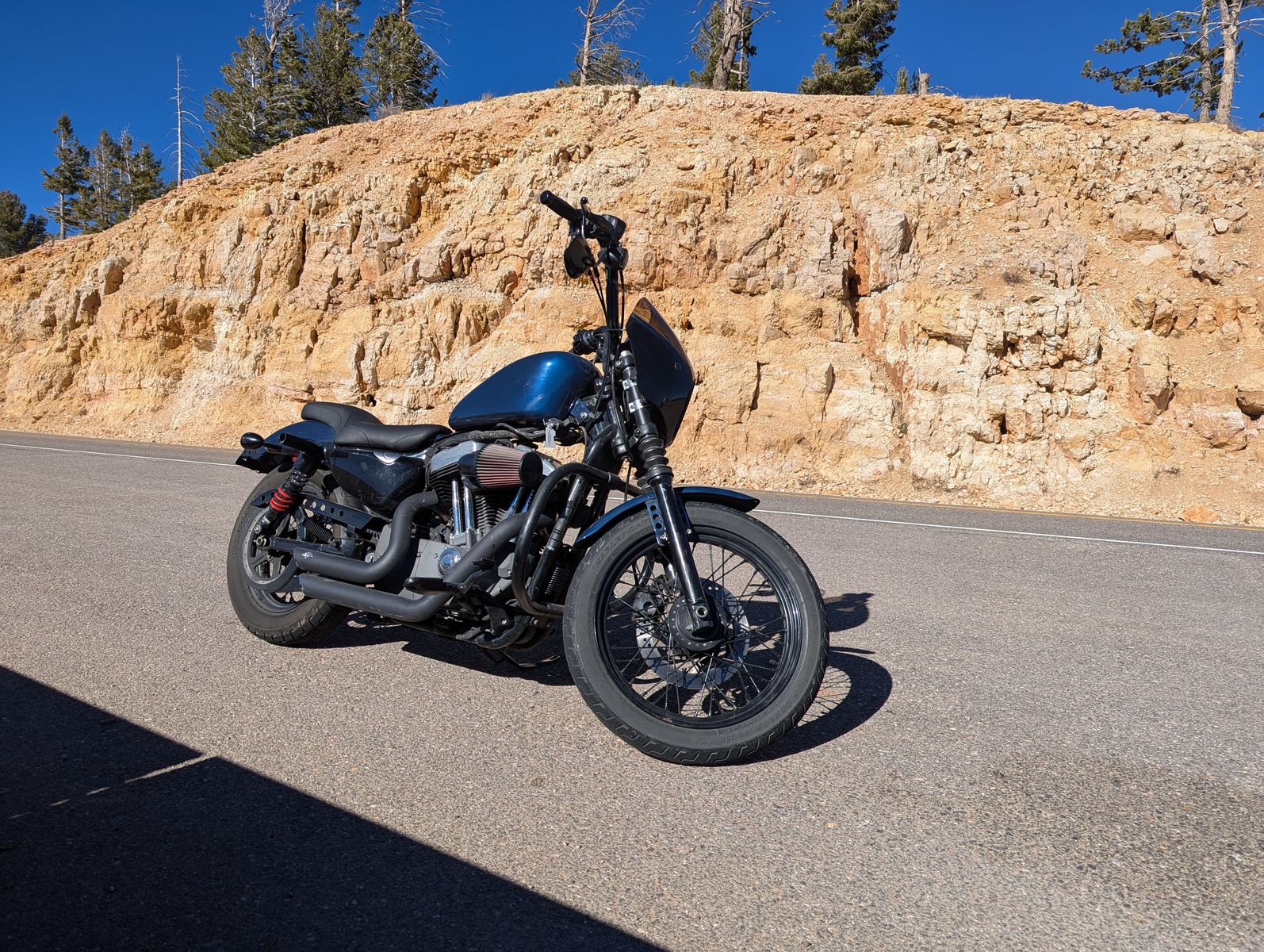 2008 Harley-Davidson Sportster 1200 XL1200N