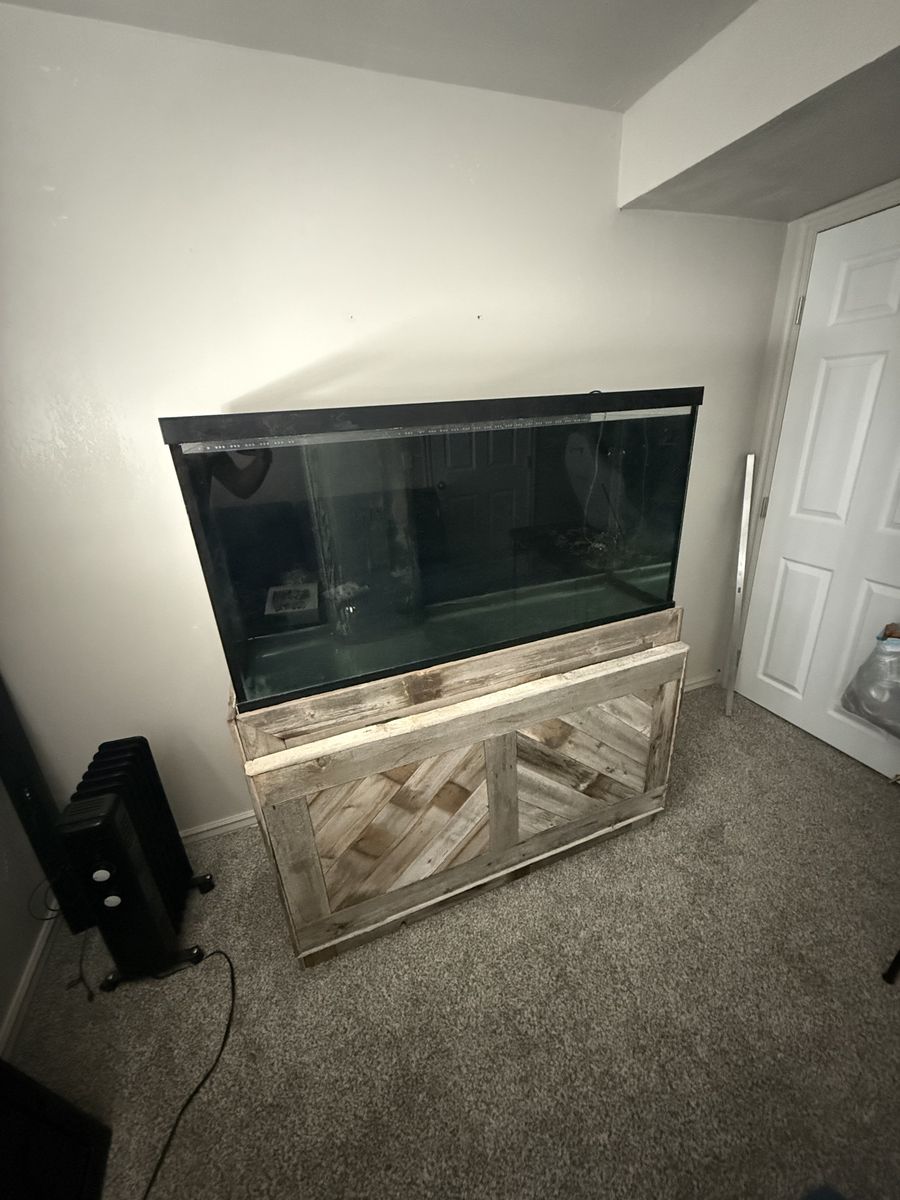 90 Gallon fish Tank