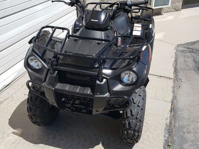 Kawasaki Brute Force 300