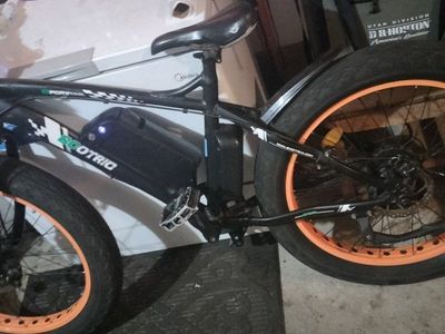 Ecotric Ebike