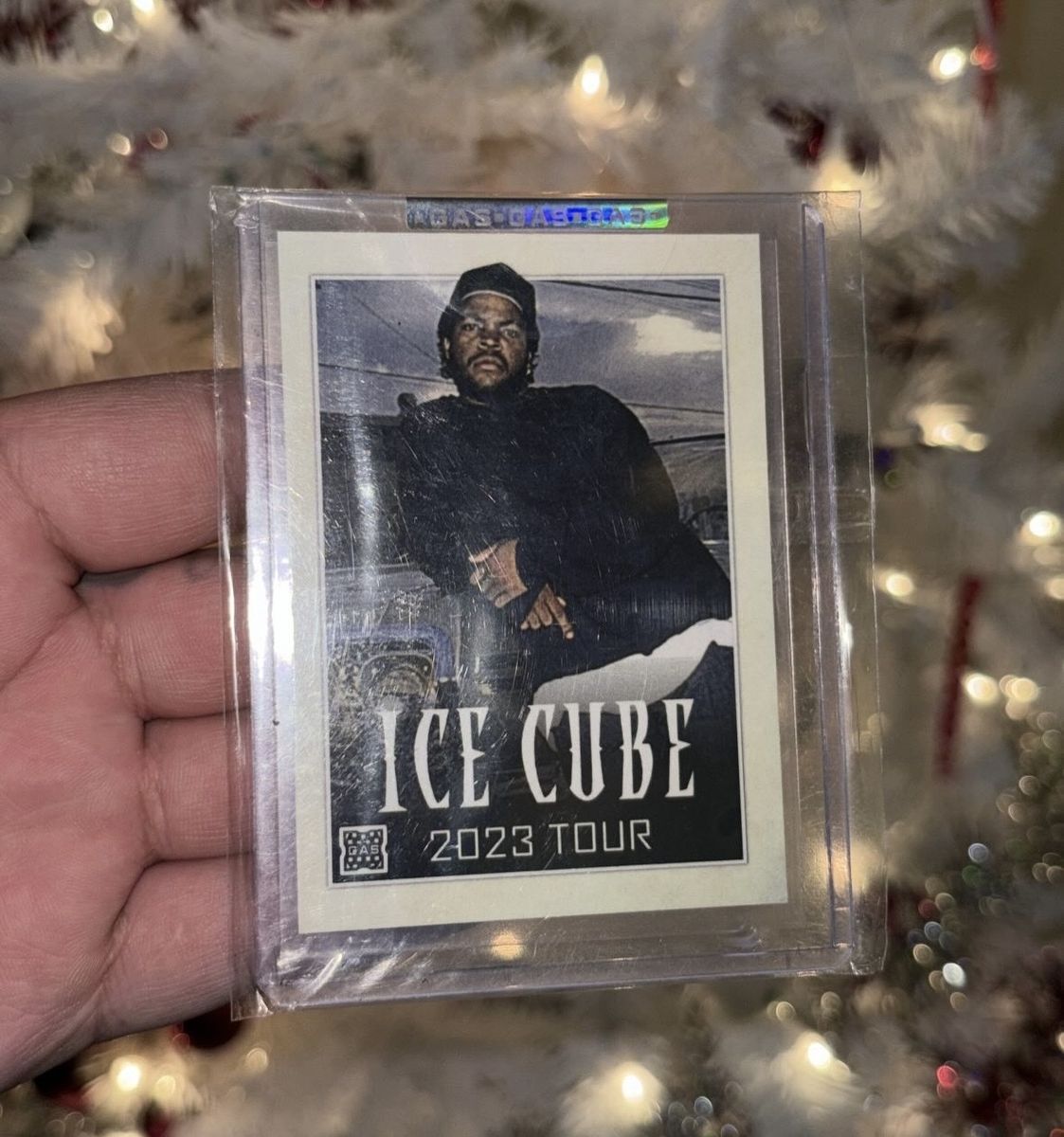 Ice Cube 2023 Tour
