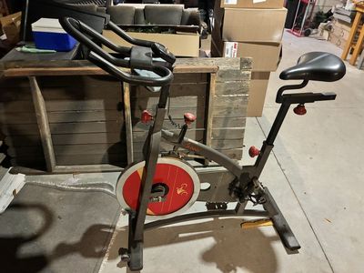 Sunny Exercise Bike