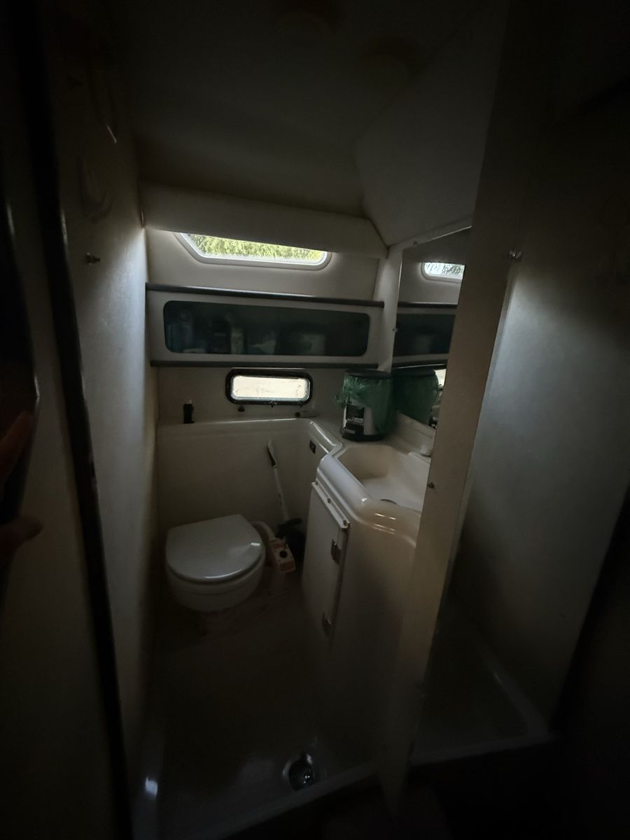 Main image 7