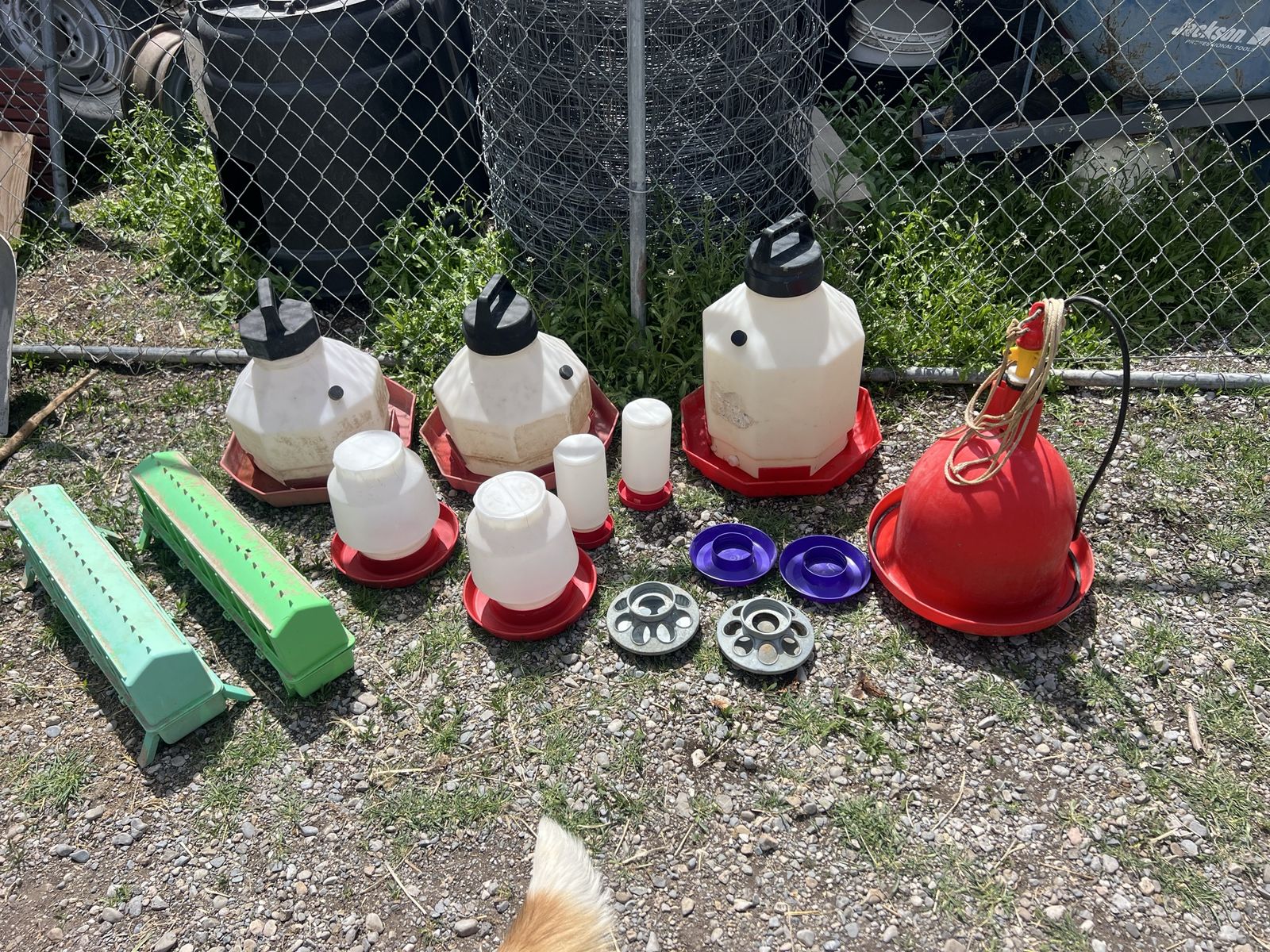 Poultry Waterers and Feeders