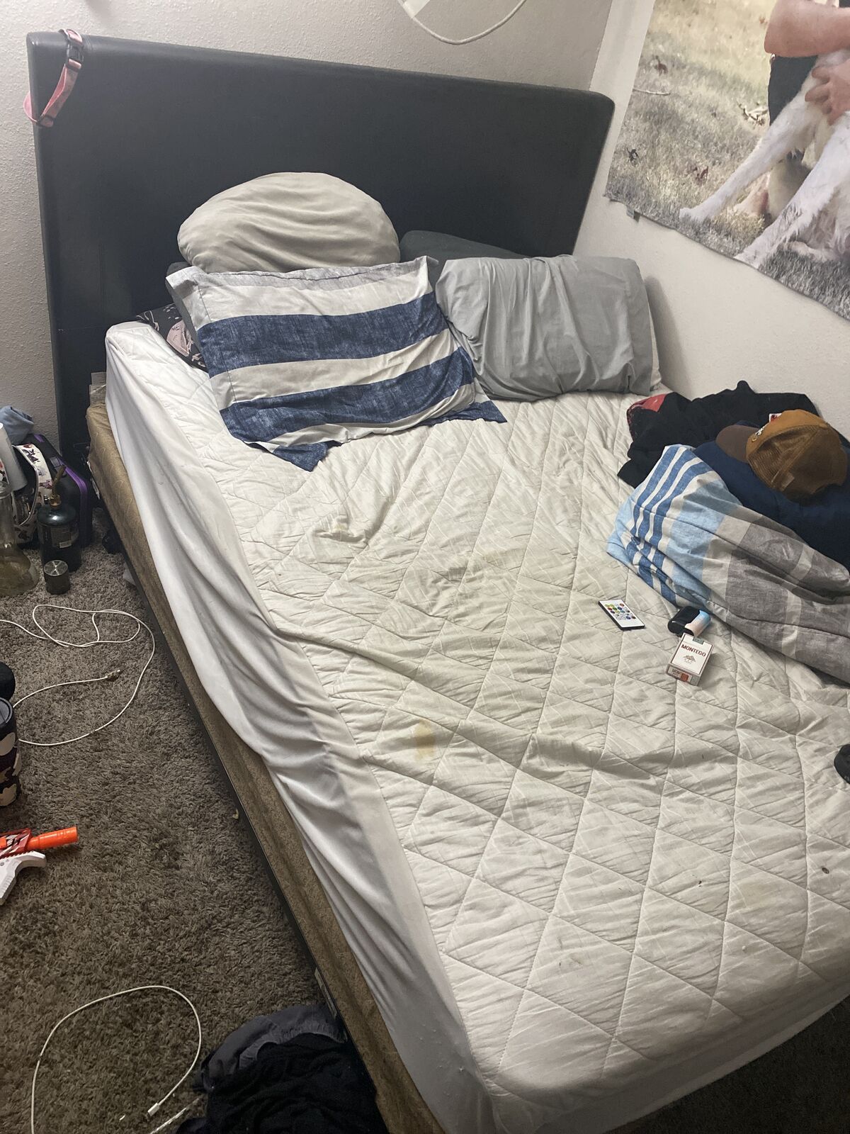 Bed Frame/ Matresess