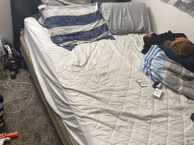 Bed Frame/ Matresess