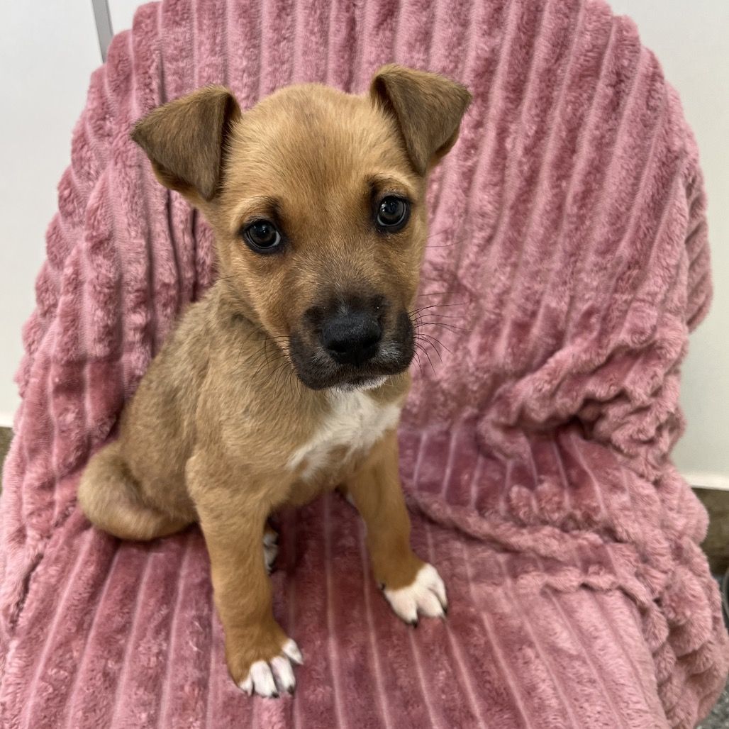 Hello my name is Billy Kimber