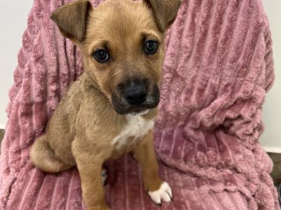 Hello my name is Billy Kimber