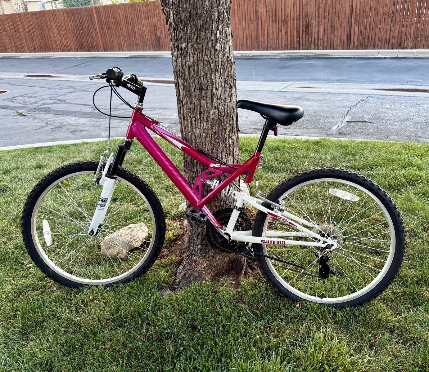 Full Suspension Girls Mountain Bike