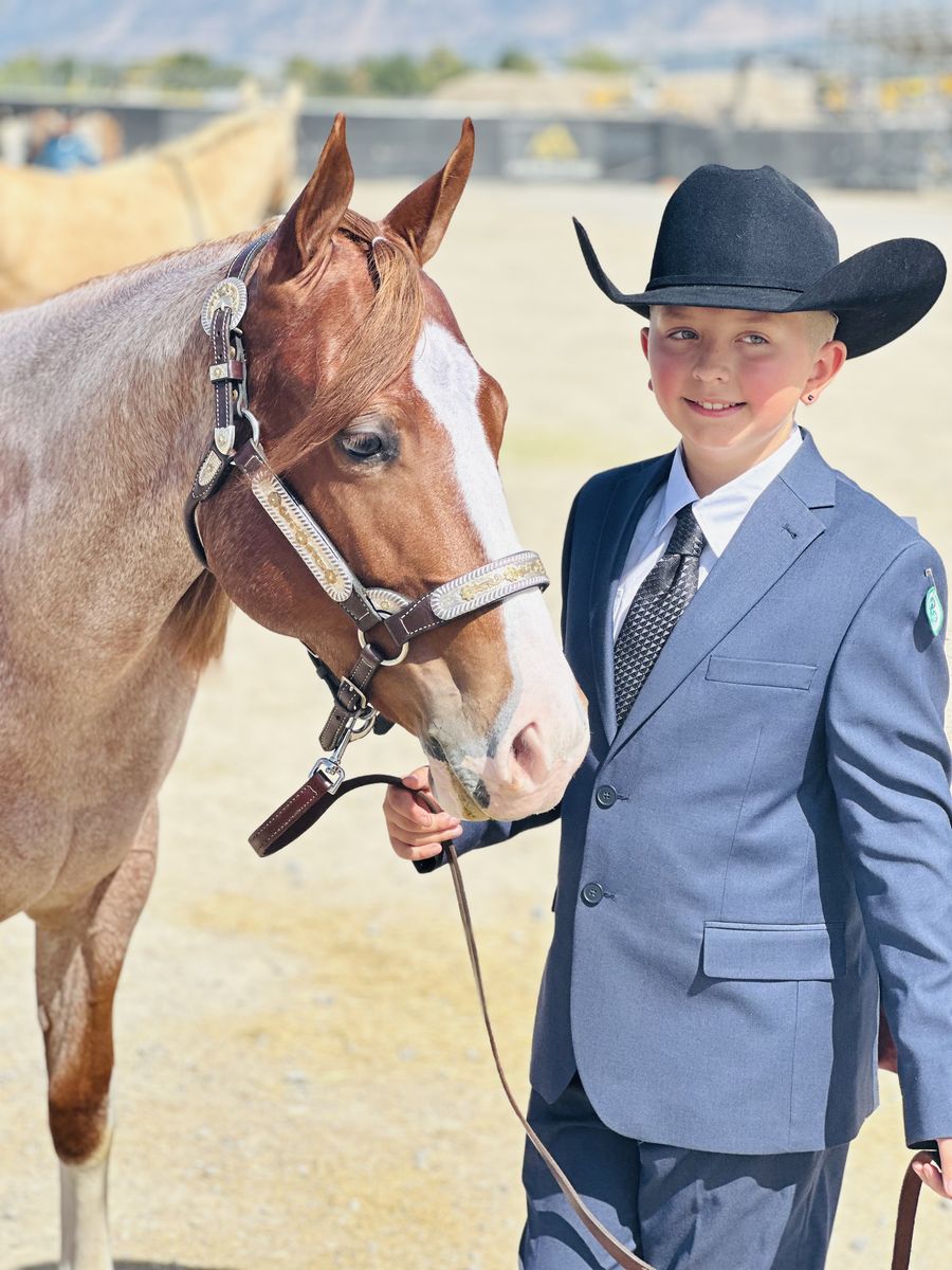 APHA Red Roan Gelding – NSBA Registered