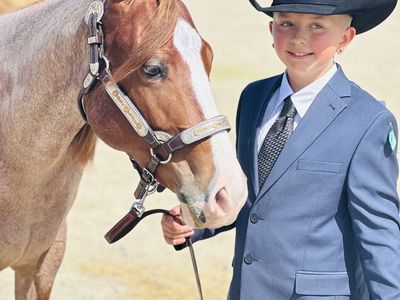 APHA Red Roan Gelding – NSBA Registered