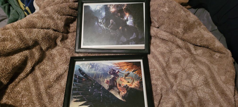 Witcher 3 Pictures limited edition
