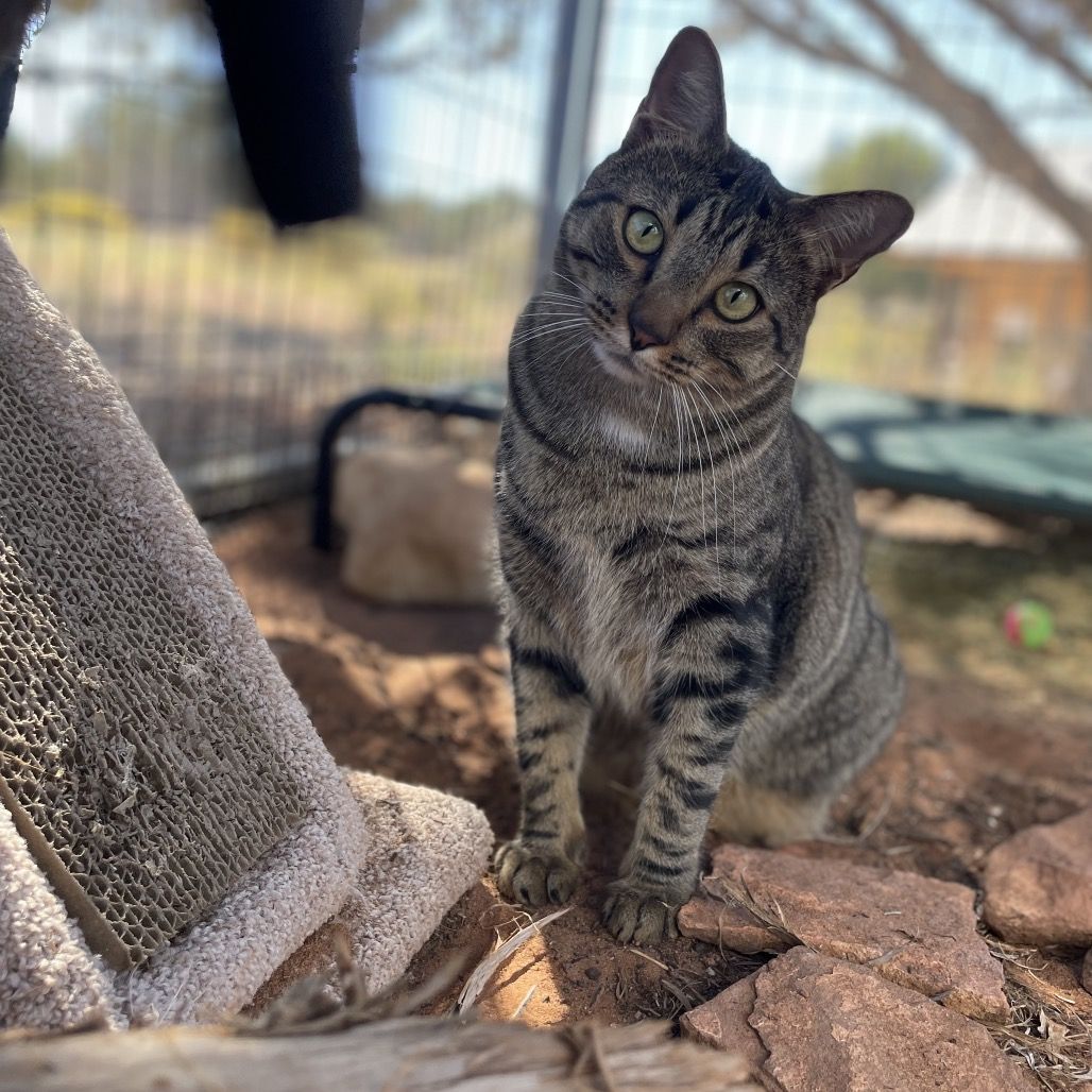 Hello my name is Eros