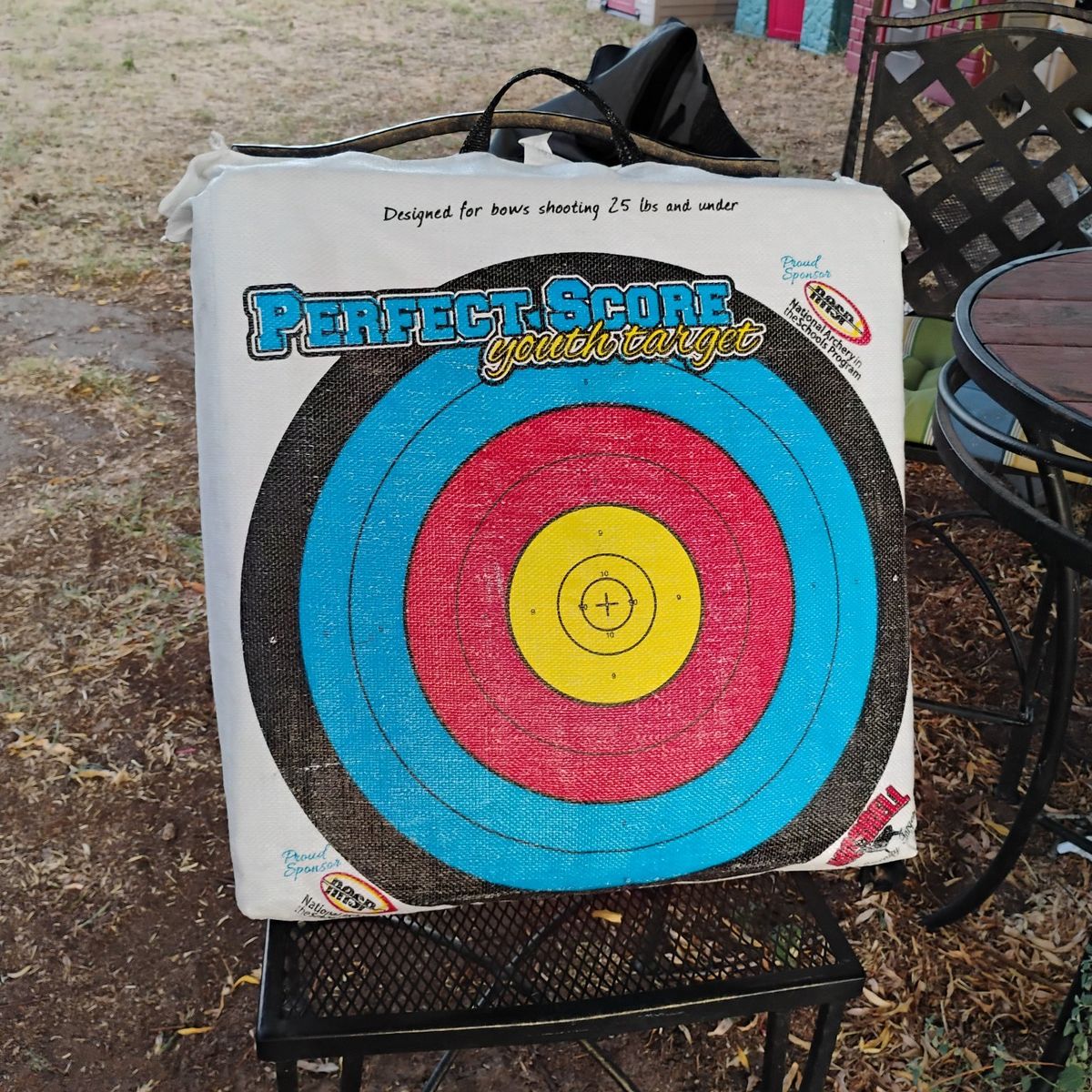 Archery Target, Perfect Score Youth/ Practice Target