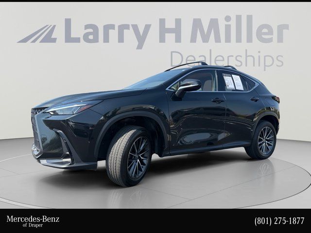 2024 Lexus NX 350 Base