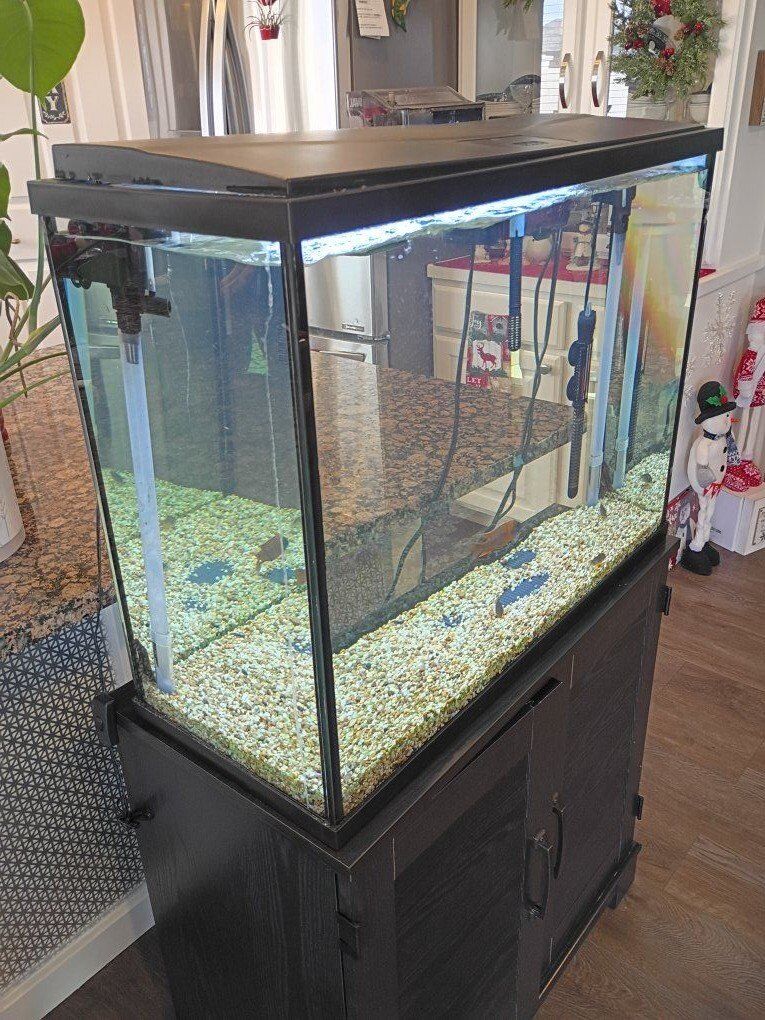 37 Gal Aquarium with stand