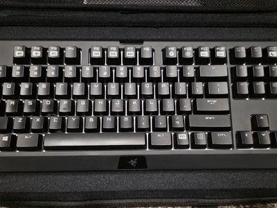 Razer Blackwidow Keyboard