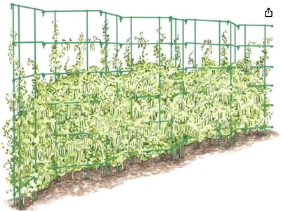 New - Expandable Pea Trellis