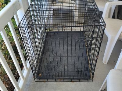 large dog kennel