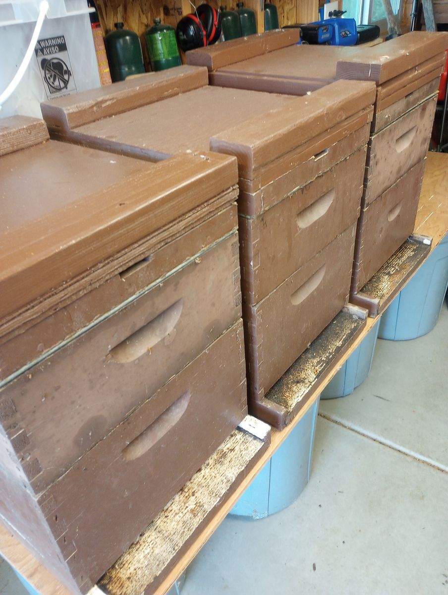 Bee Keeping, Hive, Honey, Wax, and all Supplies for Bees